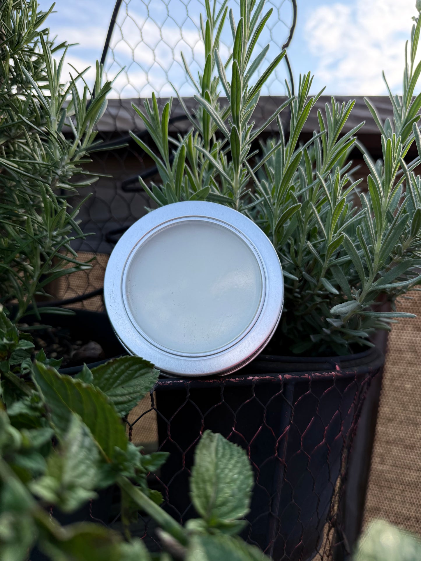 Backwoods Beard Balm