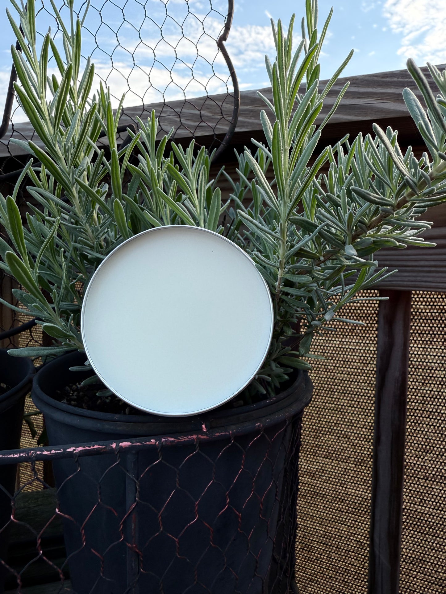 Backwoods Beard Balm